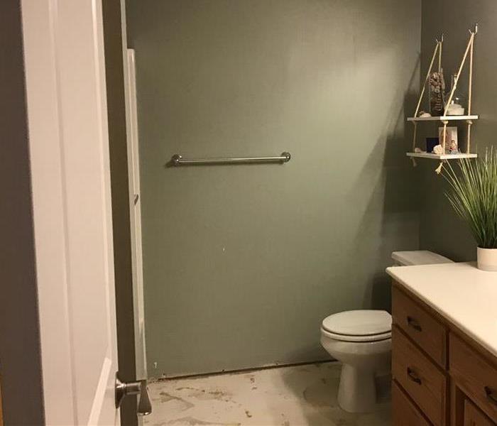 Bathroom with missing floor due to water damage.