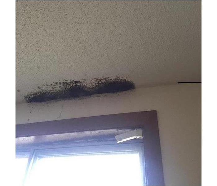 Mold on the ceiling of a bedroom.