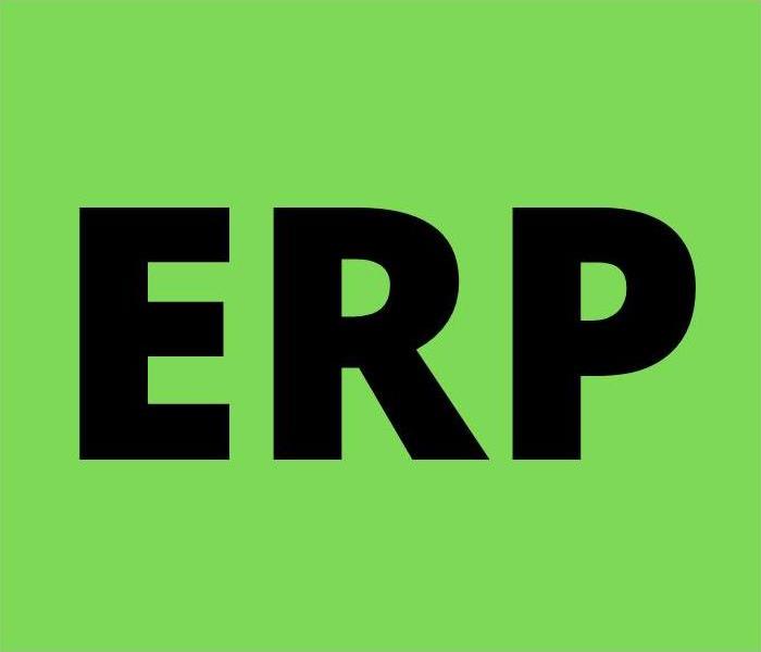Green background with black writing that says 'ERP'.